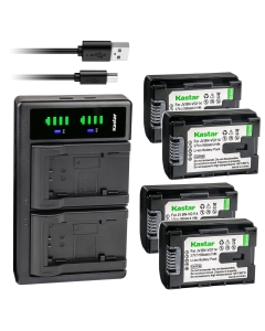 Kastar 4-Pack Battery and LTD2 USB Charger Replacement for JVC Everio GZ-VX810, GZ-VX815, GZ-N1, GZ-N5, GV-LS1, GV-LS2, GZ-G5, Everio AA-VG1 AA-VG1E AA-VG1EUM AA-VG1U AA-VG1US AA-VG1USM GZ-MS250U