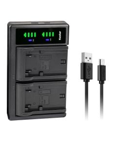Kastar BN-VF823 LTD2 USB Battery Charger Replacement for JVC GZ-HM400 GZ-HM400AC GZ-HM400-B GZ-HM400EU GZ-HM400-S GZ-HM400U GZ-HM400US GZ-HM80 GZ-HM90 GZ-MG530 GZ-MG530AC GZ-MG555