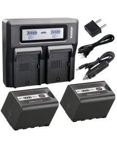 Kastar Fast Dual LCD Charger + 2X Battery for Panasonic VW-VBD58 VW-VBD29 and AG-DVX200PJ AG-3DA1 AG-AC8 AC8EJ AG-AC8PJ AG-AC30 AG-DVC30 AG-HPX171 AG-HPX255 AG-HVX201 AJ-PCS060 AJ-PX230