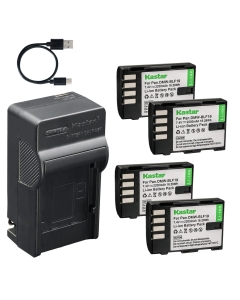 Kastar 4-Pack Battery and AC & USB-C Charger, Compatible with Panasonic DMW-BLF19 DMW-BLF19E DMW-BLF19PP GH3 GH3A GH3GK GH3H GH4 GH4A GH4H GH5 GH5S G9, Sigma SD Quattro SD Quattro H BP-61 PG-41 Grip