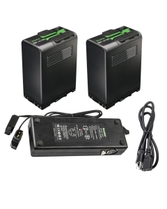 Kastar Battery 2 Pack and Dual D-Tap Charger for Sony BP-U30, BP-U35, BP-U60, BP-U60T, BP-U66, BP-U65, BP-U68, BP-U70, BP-U90, BP-U95, BP-U96, BP-U98, BP-U100 Battery, BC-U1, BC-U2, BC-CU1 Charger