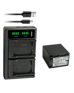 Kastar 1-Pack Battery NP-FV100 and LTD2 USB Charger Compatible with Sony HDR-PJ510 HDR-PJ540 HDR-PJ580HDR-PJ650 HDR-PJ670 HDR-PJ710 HDR-PJ740 HDR-PJ760 HDR-PJ780 HDR-PJ790 HDR-PJ810 HDR-PJ820 Camera