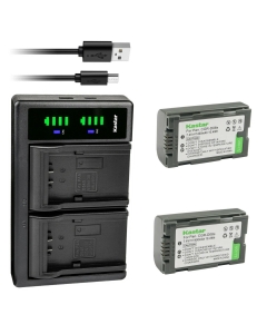 Kastar 2-Pack Battery and LTD2 USB Charger Compatible with Hitachi DZ-BP08, DZ-BP16, DZ-BP28 Battery, Hitachi DZ-MV270E, VDR-M20, DZ-MV100, DZ-MV100A, DZ-MV100E, DZ-MV200, DZ-MV200A Camera