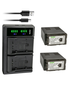 Kastar 2-Pack VW-VBG6 Battery and LTD2 USB Charger Replacement for Panasonic VW-VBG6 VW-VBG6GK VW-VBG6-K VW-VBG6PPK, CGA-E625 Battery, Panasonic DE-A38, VSK0631, VSK0698 Charger