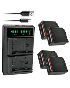 Kastar 4-Pack VW-VBG6 Pro Battery and LTD2 USB Charger Compatible with Panasonic VW-VBG6 VW-VBG6GK VW-VBG6-K VW-VBG6PPK, CGA-E625, VW-VBG6 Pro Battery, Panasonic DE-A38, VSK0631, VSK0698 Charger