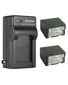 Kastar 2-Pack CGR-D28 Battery and AC Wall Charger Replacement for Panasonic AG-DVC80P, AG-DVX100, AG-DVX100A, AG-DVX100B, AG-DVX100BE, AG-DVX102, AG-DVX102A, AG-DVX102B, AG-DVX1000, AG-EZ50U