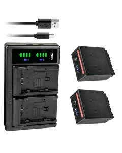 Kastar 2-Pack VW-VBG6 Pro Battery and LTD2 USB Charger Compatible with Panasonic VW-VBG6 VW-VBG6GK VW-VBG6-K VW-VBG6PPK, CGA-E625, VW-VBG6 Pro Battery, Panasonic DE-A38, VSK0631, VSK0698 Charger