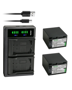 Kastar 2-Pack Battery NP-FV100 and LTD2 USB Charger Compatible with Sony HDR-PJ510 HDR-PJ540 HDR-PJ580HDR-PJ650 HDR-PJ670 HDR-PJ710 HDR-PJ740 HDR-PJ760 HDR-PJ780 HDR-PJ790 HDR-PJ810 HDR-PJ820 Camera