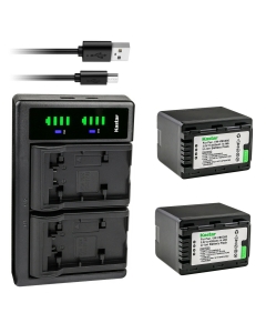 Kastar 2-Pack VW-VBK360 Battery and LTD2 USB Charger Replacement for Panasonic SDR-S70, SDR-S70K, SDR-S70P, SDR-S70PC, SDR-S70R, SDR-S70S, SDR-S71, SDR-S71GK, SDR-S71P, SDR-S71PC, SDR-S71K, SDR-T50
