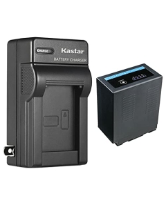 Kastar 1-Pack Battery and AC Wall Charger Replacement for Panasonic CGR-D54SE/1B, CGR-D54SE/1H, CGR-D54Pro, CGP-D54, CGP-D54S, VW-VBD29 VW-VBD55, CGA-D54, CGA-D54S, CGA-D54SE, CGA-D54SE/1B Battery