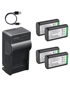Kastar 4-Pack Battery and AC & USB-C Charger, Compatible with Panasonic DMW-BLJ31 BLJ31E, for LUMIX S1 S1R S1H Mirrorless Cameras