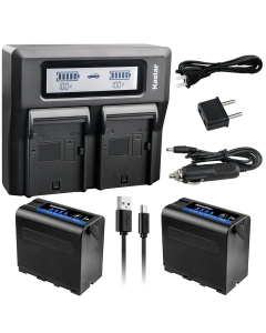Kastar 2 Pack Battery and LCD Dual Fast Charger for Sony NP-F980 Pro NP-F970 DCR-TRV103 DCR-TRV110 DCR-TRV120 DCR-TRV125 DCR-TRV130 DCR-TRV203 DCR-TRV210 DCR-TRV220 DCR-TRV310 DCR-TRV315 DCR-TRV320