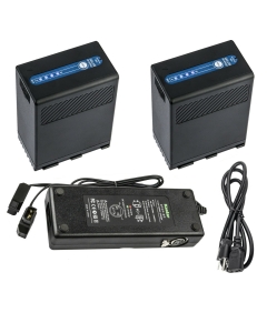 Kastar 2-Pack BP-A68 Battery and Dual D-Tap Fast Charger Compatible with Canon BP-A30 BP-A60 BP-A65 BP-A68 BP-A90 US0870C002 Battery, CG-A10 CG-A20 Charger, EOS C300 Mark III Digital Cinema Camera