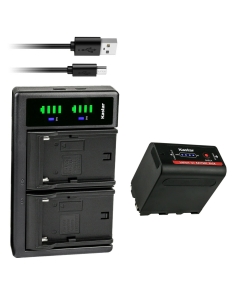 Kastar 1-Pack NP-F980EXP Battery and LTD2 USB Charger Compatible with CCD-TRT97 CCD-TRV101 CCD-TRV15 CCD-TRV16 CCD-TRV17 CCD-TRV201 CCD-TRV215 CCD-TRV20 CCD-TRV25 CCD-TRV26 CCD-TRV27 Camera