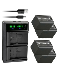 Kastar 4-Pack Battery and LTD2 USB Charger Replacement for Panasonic AJ-PX270, AJ-PX270PJ, AJ-PX298, AJ-PX298MC, AJ-UX90, AJ-UX180, HC-X1, HC-X1000, HC-X1500, HC-X2000, HC-MDH2, HC-MDH2GK, HC-MDH2GK-K