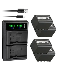 Kastar 4-Pack AG-VBR59 Battery and LTD2 USB Charger Replacement for Panasonic AG-VBR59, AG-VBR89G, AG-VBR118G, AG-BRD50, AG-B23, Panasonic HC-X2 4K Camcorder, Panasonic HC-X20 4K Mobile Camcorder