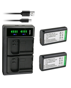 Kastar 2-Pack Battery and LTD2 USB Charger Compatible with Panasonic DMW-BLJ31, DMW-BLJ31e Battery, Panasonic LUMIX S1, LUMIX S1R, LUMIX S1H, DMW-BGS1R, LUMIX S Series Full-Frame Mirrorless Cameras
