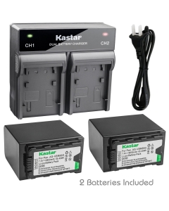 Kastar 2X Battery + Fast Dual Charger for Panasonic AG-VBR89G AG-VBR118G AG-DVC30 AG-HPX171 AG-HPX255 AG-HVX201 AJ-PCS060 AJ-PX230 AJ-PX270 AJ-PX270PJ AJ-PX298 AJ-UX180 AJ-UX90 HC-MDH2