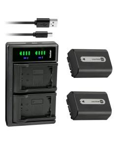 Kastar 2-Pack NP-FH50 Battery and LTD2 USB Charger Replacement for Sony DCR-SX40, DCR-SX41, DCR-SX50, DCR-SX60, HDR-CX100, HDR-CX105, HDR-CX106, HDR-CX11, HDR-CX12, HDR-CX500, HDR-CX505, HDR-CX520