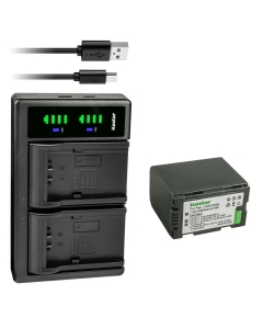 Kastar 1-Pack CGR-D28 Battery and LTD2 USB Charger Replacement for Panasonic PV-GS16, PV-BP8, PV-D401, PV-VM202, DZ-MX5000, VDR-M10, VDR-M20, AJ-PCS060G(Portable Hard Disk), AG-3DA1, AG-3DA1E