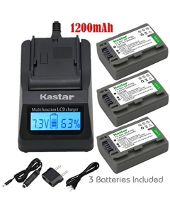 Kastar Fast Charger Kit and Battery (4-Pack) for Sony DVD HandyCam DCR-DVD105 DCR-DVD202E DCR-DVD203 DCR-DVD203E DCR-DVD205 DCR-DVD305 DCR-DVD403 DCR-DVD405 DCR-DVD408 DCR-DVD505 DCR-DVD910 DCR-DVD92