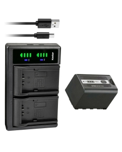 Kastar 1-Pack Battery and LTD2 USB Charger Replacement for Panasonic AG-CX10, AG-CX350, AG-DVX200, AG-DVX200PJ, AG-DVX200PB, AG-DVX200PX, AG-DVX200EJ, AG-DVX200EN, AG-DVX200ED, AJ-PCS060, AJ-PX230