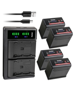 Kastar 4-Pack Battery and LTD2 USB Charger Replacement for Canon EOS C100 Mark II, EOS C300, EOS C300 PL, EOS C500, EOS C500 PL, ES50, ES55, ES60, ES65, ES75, ES300V, ES410V, ES420V, ES520A, ES4000