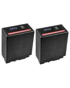 Kastar 2-Pack VW-VBG6 Pro Battery Replacement for Panasonic SDR-H80P, SDR-H80PC, SDR-H80R, SDR-H80S, SDR-H90, SDR-H90K, SDR-H90P, SDR-H90PC, VDR-D50 Cameras