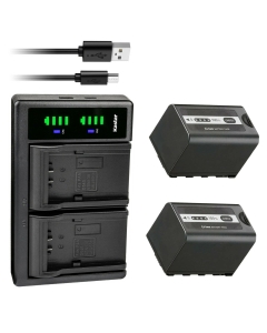 Kastar 2-Pack Battery and LTD2 USB Charger Replacement for Panasonic AG-VBR59 AGVBR59, AG-VBR89 AG-VBR89G, AG-VBR118 AG-VBR118G, VW-VBD29, VW-VBD58 VW-VBD58E-K VW-VBD58PPK, VW-VBD78, VW-VBD98 Battery