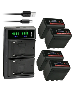 Kastar 4-Pack NP-F980EXP Battery and LTD2 USB Charger Compatible with HXR-NX5R MPK-DVF4 MVC-CD1000 MVC-CD400 MVC-CHF81 MVC-CKF81 MVC-FD100 MVC-FD200 MVC-FD5 MVC-FD51 MVC-FD7 MVC-FD71 Camera