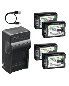 Kastar 4-Pack Battery and AC & USB-C Charger, Compatible with VG107 VG108 VG114 VG121 VG138, for Everio Camcorder Models GZ-E Series GZ-EX Series GZ-HD Series GZ-HM Series GZ-MG Series GZ-MS Series