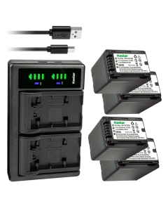 Kastar 4-Pack VW-VBT380 Battery and LTD2 USB Charger Compatible with Panasonic VW-VBT380 VW-ACT380 VW-VBT190 VW-ACT190 Battery, Panasonic VW-PWPK VW-BC10 VW-BC10-K VW-BC10PP Charger