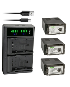 Kastar 3-Pack VW-VBG6 Battery and LTD2 USB Charger Replacement for Panasonic VW-VBG6 VW-VBG6GK VW-VBG6-K VW-VBG6PPK, CGA-E625 Battery, Panasonic DE-A38, VSK0631, VSK0698 Charger